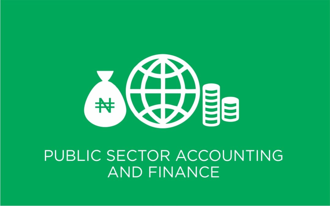 public-sector-accounting-and-finance-321-study